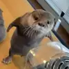 Denis - @denisestucki - TikTok
