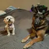 Denise Stucky - @denise.stucky - TikTok