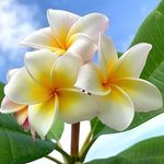 Denise Studer - @denise_5984 - Instagram