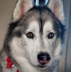 Denise Styles - Facebook