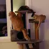 Denise Styles - @denise.styles4 - TikTok