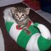 Denise Sumner - Facebook