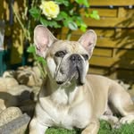 Denise - @denisesunshoinxe - Instagram