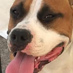Denise Sunseri - @sunseri.denise - Instagram