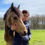 𝓓𝓮𝓷𝓲𝓼𝓮🐎♥️ - @denise_sunshine_time - Instagram