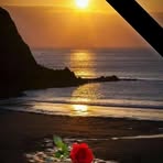 Sun Rise Denise - Facebook