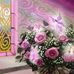 Denise Susnir - Facebook