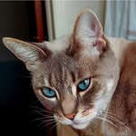 Denise Batula Swartz - @swartz.denise - Instagram