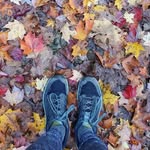 Denise Swartz Friend - @deniseswartzfriend - Instagram
