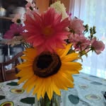 Denise Swartz George - @mamabonk61 - Instagram