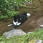 Denise Talbert Cox - @denise.t.cox.7 - Instagram