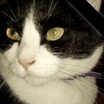 V. Denise Thacker - @hessthacker - Instagram