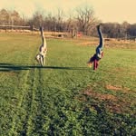 paige denise thull - @thullpaigedenise - Instagram