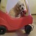Denise Timberlake - Facebook