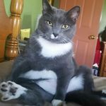 Denise Timmons - @timmons.penta725 - Instagram