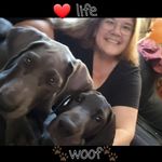 Denise Timmons - @aspenshuman - Instagram
