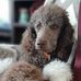 Denise Timmons - Facebook