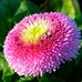 Denise Timothy - Facebook