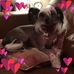 Denise Tinker - Facebook