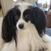 Denise Tolbert - Facebook