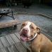 Denise Tolbert - Facebook