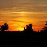 Denise Tolbert Bennett - @denisebennett4632 - Instagram