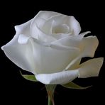 Denise Tomassian - Facebook