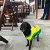 denisettrader - @denisettrader - TikTok