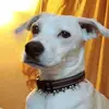 Denise._trasher - @denise._trasher - TikTok