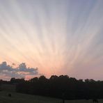 Denise Traylor - Facebook