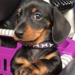 Denise Trimble - @denise.alexander.5811 - Instagram