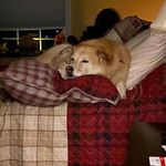 Denise Triplett - @denise.triplett.37 - Instagram