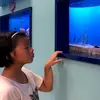 Denise Tsui486 - @denisetsui156 - TikTok