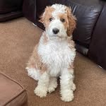 Denise Tuller - @denise.tuller.2 - Instagram