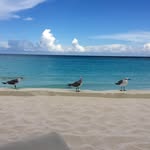 Denise Tutt Lott - @detulo02 - Instagram