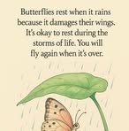 Denise Tuttle - Facebook