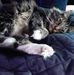 Denise L. Pursche-VanWinkle - Facebook
