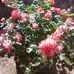 Denise Vidal - Facebook
