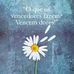 Denise Viana - Facebook