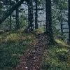 Denise walcher - @chaosdeni5410701 - TikTok