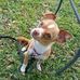 Denise Waldron - Facebook