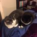 Denise Waldron - Facebook
