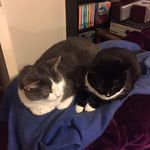 Denise Waldron - @denise.waldron.96 - Instagram