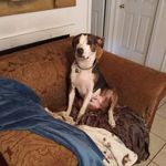 Denise Wallis - @denise.wallis.353 - Instagram