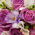 Denise Wallis - @denisewallis62 - Instagram