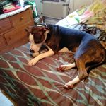 Denise Wallis - @denise.wallis.35574 - Instagram