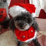 Denise Wallis - @denise.wallis.946 - Instagram