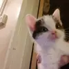 denisewallis627 - @denisewallis627 - TikTok