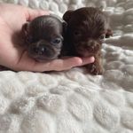 Denise walter21 - @deni.sewalter - Instagram