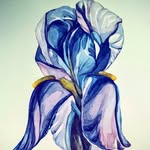 watercolors by Denise Walter - @denisewalterart - Instagram